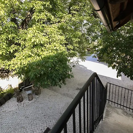 Jezek * Ljubljana