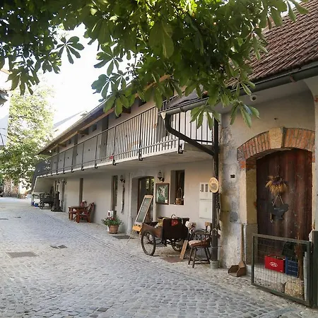 Jezek Ostanak kod kuće