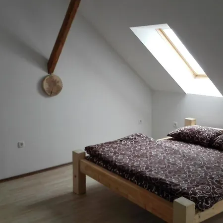 Ostanak kod kuće Jezek Ljubljana