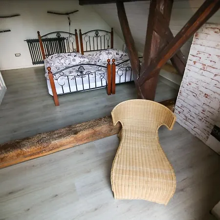 Jezek Ostanak kod kuće