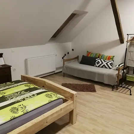 Jezek Ostanak kod kuće Ljubljana